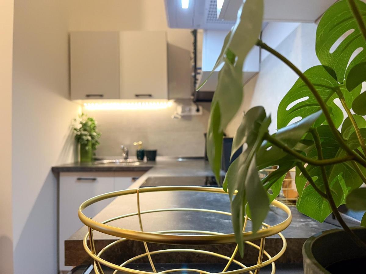 Green Goblin Apartment With Free Private Parking Budapest Ngoại thất bức ảnh